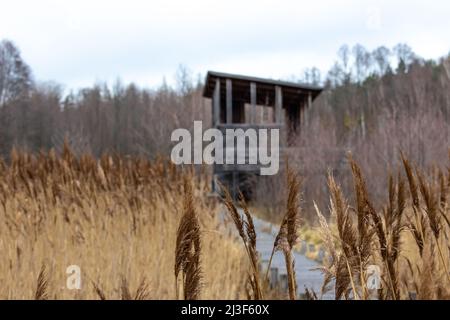 Ein hölzerner Pier und ein Aussichtsturm auf einem Schilffeld im Nationalpark. Das Foto wurde an einem bewölkten Herbsttag aufgenommen Stockfoto