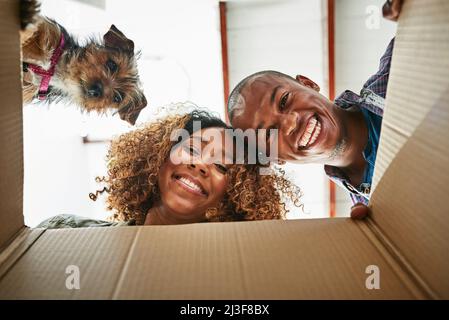 Sehen Sie, was wir gefunden haben. Ein Porträt eines fröhlichen Paares und ihres Hundes, die zusammen in eine Kiste schauen, um zu sehen, was drinnen ist. Stockfoto