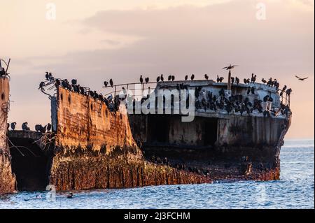 Ein wunderschöner Sonnenuntergang über dem Strand in der Nähe von Aptos, Kalifornien, der den alten, verödnisten Pier und ein altes Schiffswrack hervorhebt. Stockfoto