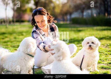 Glückliche Frau spielt mit ihrem weißen bichon-Frisehund an sonnigen Tagen im Park. Stockfoto