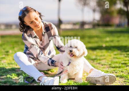 Glückliche Frau spielt mit ihrem weißen bichon-Frisehund an sonnigen Tagen im Park. Stockfoto