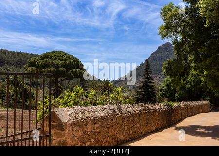 Natursteinmauer vor einer Bergkulisse mit Palmen Stockfoto