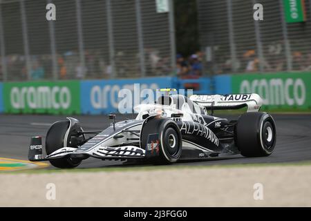 Melbourne, Australien. 08. April 2022. 04/08/2022, Albert Park, Melbourne, FORMEL 1 ROLEX AUSTRALIAN GRAND PRIX 2022, im Bild Yuki Tsunoda (JPN), Scuderia AlphaTauri Credit: dpa/Alamy Live News Stockfoto