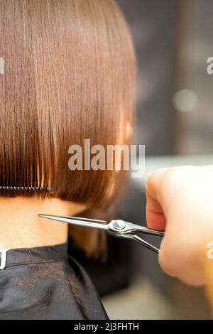 Haarschnitt von kurzen Haaren einer jungen weißen Frau durch die Hände eines Friseurs in einem Friseursalon, Rückansicht, Nahaufnahme Stockfoto