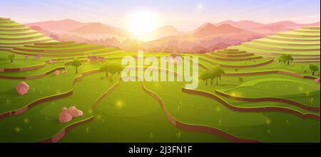 Terrassenförmige Reisfelder bei Sonnenaufgang, sonniges chinesisches Ackerland am Morgen in der Berglandschaft. Asiatische Kaskadenplantage, Landschaft Landwirtschaft Wiese mit Pflanze Stock Vektor