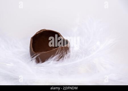 Die Hälfte eines gebrochenen leeren Schokoladeneier in einem weißen, weichen Federnest. Süße Ostertradition. Frühlingsferien. Osterangebot für Kinder Stockfoto