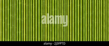 Wandstruktur aus Bambus. Nahtloses Muster mit grünen Baumstäben. Vektor Cartoon Hintergrund der farbigen japanischen oder chinesischen Rohrwand. Tropische Pflanzenstämme Stock Vektor