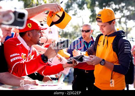 Melbourne, Australie. 08. April 2022. NORRIS Lando (gbr), McLaren F1 Team MCL36, Portrait während des Formel 1 Heineken Australian Grand Prix 2022, 3. Lauf der FIA Formel 1 Weltmeisterschaft 2022, auf dem Albert Park Circuit, vom 8. Bis 10. April 2022 in Melbourne, Australien - Foto DPPI Credit: DPPI Media/Alamy Live News Stockfoto