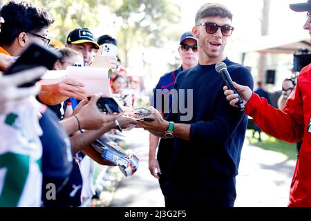 Melbourne, Australie. 08. April 2022. GASLY Pierre (Fra), Scuderia AlphaTauri AT03, Portrait während des Formel 1 Heineken Australian Grand Prix 2022, 3. Runde der FIA Formel 1 Weltmeisterschaft 2022, auf dem Albert Park Circuit, vom 8. Bis 10. April 2022 in Melbourne, Australien - Foto DPPI Credit: DPPI Media/Alamy Live News Stockfoto