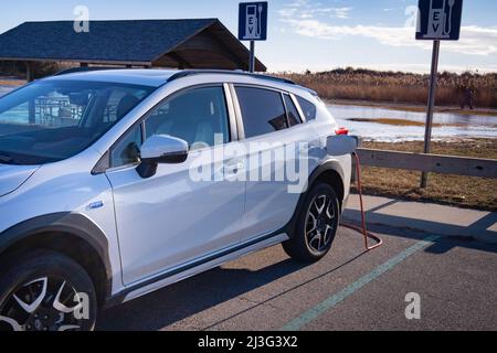 Madison, Connecticut USA - 22. Januar 2022 - Ein Subaru-Elektroauto an einer Ladestation im HammonAsset Beach State Park Stockfoto