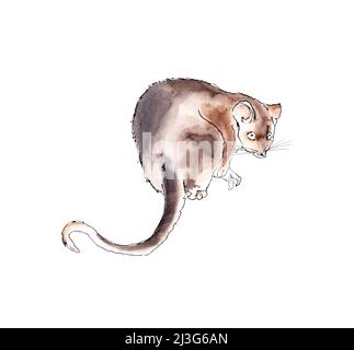 Tiere Australiens. Aquarellskizze. Stockfoto