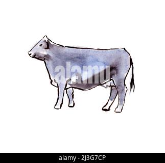 Tiere Australiens. Aquarellskizze. Stockfoto