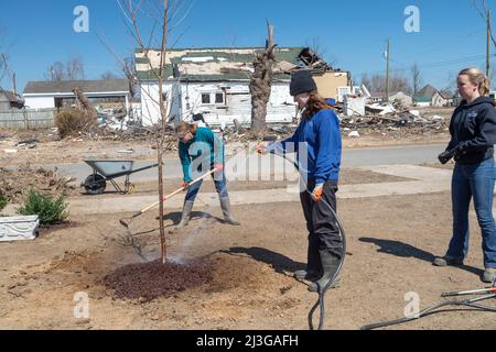 Mayfield, Kentucky - Studenten der Asbury University Pflanzen Bäume im Anderson Park. Die im Park vorhandenen Bäume wurden im Dezember zerstört Stockfoto