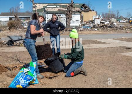 Mayfield, Kentucky - Studenten der Asbury University Pflanzen Bäume im Anderson Park. Die im Park vorhandenen Bäume wurden im Dezember zerstört Stockfoto