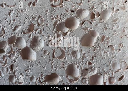 Strukturierte Wand mit Muschelsteinfliesen ausgekleidet. Stockfoto