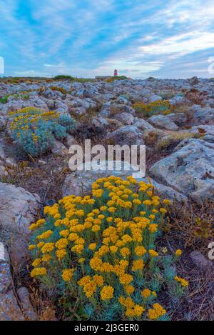 Cabo de Sao Vicente bei Sonnenuntergang in Portugal. Stockfoto