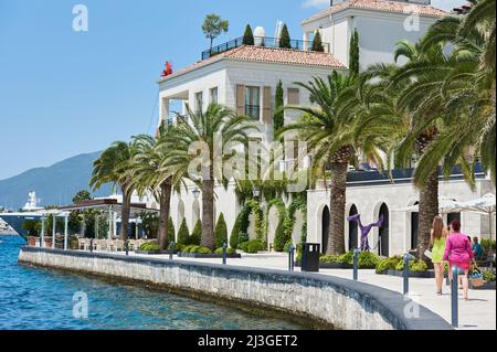 TIVAT, MONTENEGRO - 15. JULI 2021: Promenade von Porto Montenegro mit Palmen und Gebäuden Stockfoto