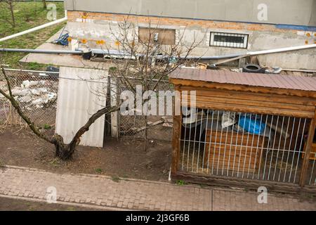 Voliere für Hunde, ein großes Grundstück mit einem Haus für Huskies, auf der Straße im Hof. Stockfoto