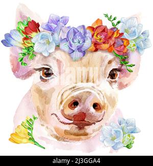 Ein schönes Schwein in einem Kranz der Freesie. Blumen. Aquarell-Illustration mit Spritzern. Stockfoto