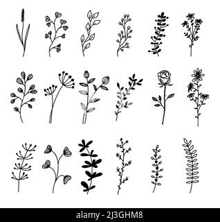 Doodle Flower Elemente. Skizzieren Sie florale Skizzen. Vector handgezeichnete Vintage Blumen Kollektion Stock Vektor