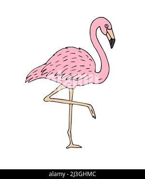 Vektor rosa handgezeichnete Skizze Doodle Flamingo isoliert auf weißem Hintergrund Stock Vektor