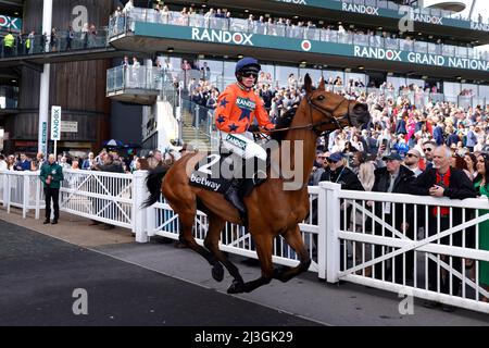 Bravemansgame mit dem Jockey Harry Cobden vor der Verfolgungsjagd von Betway Mildway Novices während des Ladies Day auf der Aintree Racecourse, Liverpool. Bilddatum: Freitag, 8. April 2022. Stockfoto