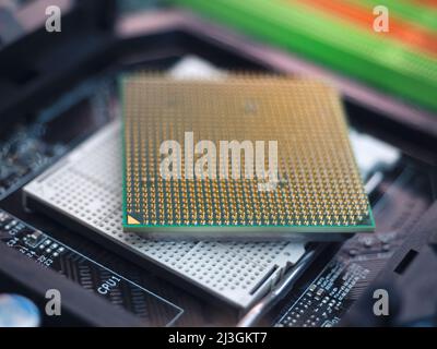 Nahaufnahme der CPU-Stifte des Computers auf dem Sockel der Hauptplatine, mit Kontakten. Selektiver Fokus auf CPU-Pins Stockfoto