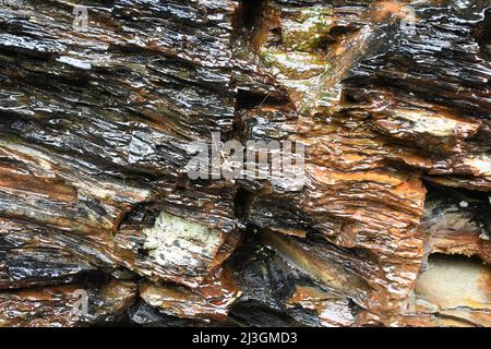 Wasser fließt die mehrfarbigen Klippen hinunter, die den Süden des Hafens bei Boscastle in Cornwall säumen.die Schichten sind der sichtbare Teil des Geologischen Stockfoto