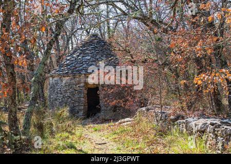 Frankreich, Alpes-de-Haute-Provence, Mane, borie, Trockensteinhütte, In der Umgebung des Dorfes Mane Stockfoto