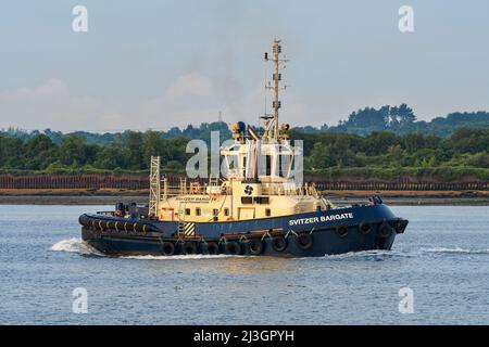 Svitzer Bargate ist ein Damen ATD 2412 Liegeschlepper, der von Svitzer Towage im Hafen von Southampton - Juni 2020 betrieben wird. Stockfoto