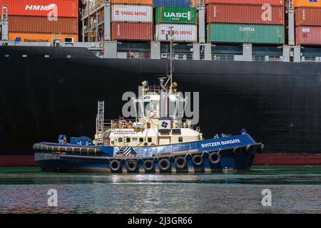 Svitzer Bargate ist ein Damen ATD 2412 Liegeschlepper, der von Svitzer Towage im Hafen von Southampton - Juli 2020 betrieben wird. Stockfoto