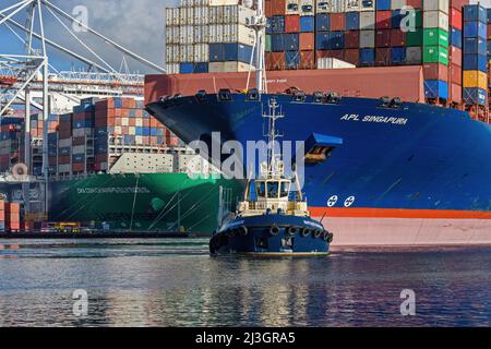 Svitzer Bargate ist ein Damen ATD 2412 Liegeschlepper, der von Svitzer Towage im Hafen von Southampton - Dezember 2020 betrieben wird. Stockfoto