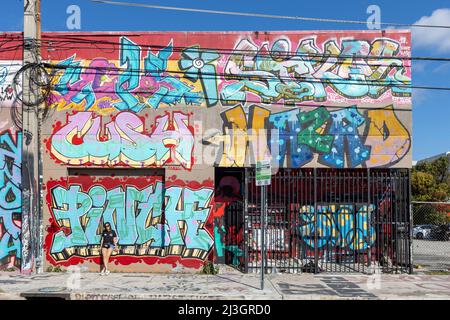 USA, Florida, Miami, Wandgemälde im Wynwood-Viertel Stockfoto