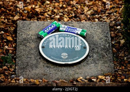 Aintree Racecourse. 8. April 2022. Aintree, Merseyside, England: Grand National Festival, Tag 2: Das Denkmal des dreifachen Grand National Gewinners Red Rum durch die Aintree, die ihren letzten Posten beendete. Kredit: Aktion Plus Sport/Alamy Live Nachrichten Stockfoto