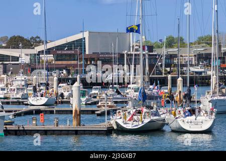 Frankreich, Manche, Cotentin, Cherbourg-Octeville, Chantereyne Marina Stockfoto