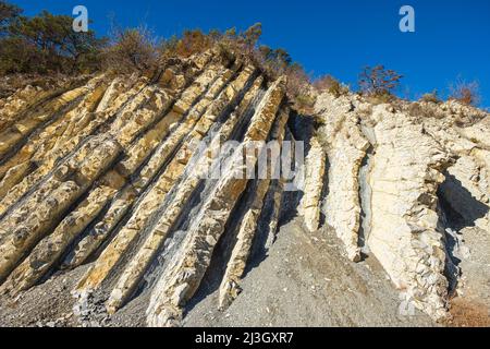 Frankreich, Drome, Baronnies Provençales regionaler Naturpark, La Charce, geologische Stätte von Serre de l'Ane Stockfoto