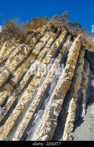 Frankreich, Drome, Baronnies Provençales regionaler Naturpark, La Charce, geologische Stätte von Serre de l'Ane Stockfoto