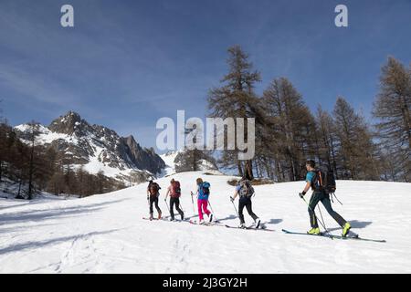 Frankreich, Hautes-Alpes, Névache, Skitourengeher, Aufsteigen auf die Chardonnet-Hütte, Queyrellin-Bergrücken (2886m) Stockfoto