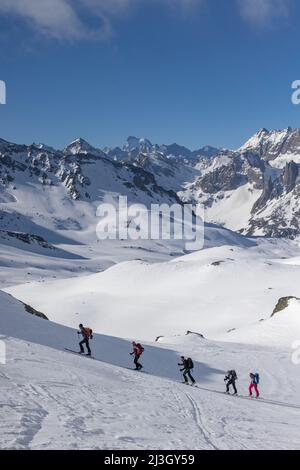 Frankreich, Hautes-Alpes, Névache, Skitourenangriff, Richtung Col des Muandes (2828 m), gesehen auf dem Ecrins-Massiv, der Barre des Ecrins (4102 m) Stockfoto