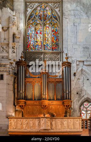 Frankreich, Normandie, Eure, Risle Valley, Pont-Audemer, Die Kirche Saint-Ouen (16.. Jahrhundert), liturgisches Musikkonzert, Orgel aus dem 16.. Jahrhundert, letzte Renovierung 2000, von Michel Giroud, Sohn von Jean Giroud, Organist aus Pont-Audemer Stockfoto