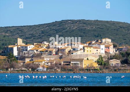 Frankreich, Herault, Balaruc-le-Vieux, mittelalterliches Dorf am Ufer des Etang de Thau Stockfoto