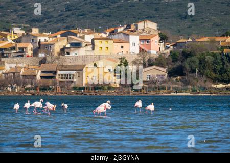 Frankreich, Herault, Balaruc-le-Vieux, mittelalterliches Dorf am Ufer des Etang de Thau Stockfoto