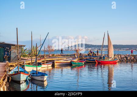 Frankreich, Herault, Bouzigues, Dorf am Ufer des Etang de Thau und berühmt für seine Austern und Muscheln, traditionelle Boote in dem kleinen Fischerhafen Stockfoto