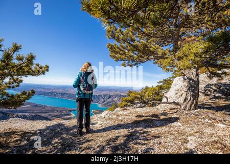 Frankreich, Alpes-de-Haute-Provence, regionaler Naturpark Verdon, Panoramablick auf den See Sainte-Croix vom Crête de l'Issioule, im Hintergrund die Hochebene von Valensole Stockfoto