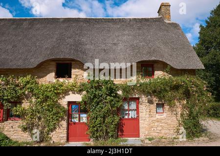 Frankreich, Loire Atlantique, regionaler Naturpark Briere, Saint Lyphard, Dorf Kerhinet, typisches Strohdachhaus Stockfoto