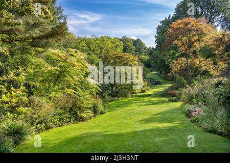 Frankreich, seine-Maritime, Sainte Marguerite sur Mer, Vasterival-Garten Stockfoto