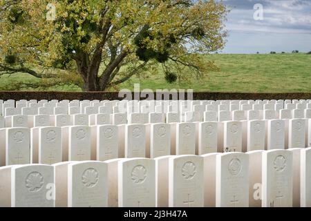 Frankreich, seine Maritime, Hautot-sur-Mer, Vertus-Friedhof, kanadischer Militärfriedhof in Dieppe, 955 Soldaten sind begraben, die meisten von ihnen starben während der Operation Jubilee, alliierte Landung in Dieppe im Jahr 1942 Stockfoto