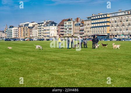 Frankreich, seine Maritime, Dieppe, Cote d'Abatre, Strandpromenade Stockfoto