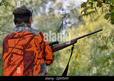 Frankreich, Doubs, Brognard, Jagd, mit Wildschweinen geschlagen, Gewehr auf Jagdstuhl Stockfoto