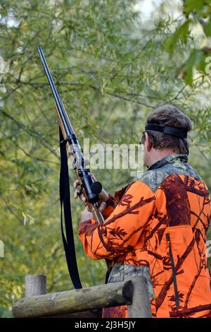 Frankreich, Doubs, Brognard, Jagd, mit Wildschweinen geschlagen, Gewehr auf Jagdstuhl Stockfoto